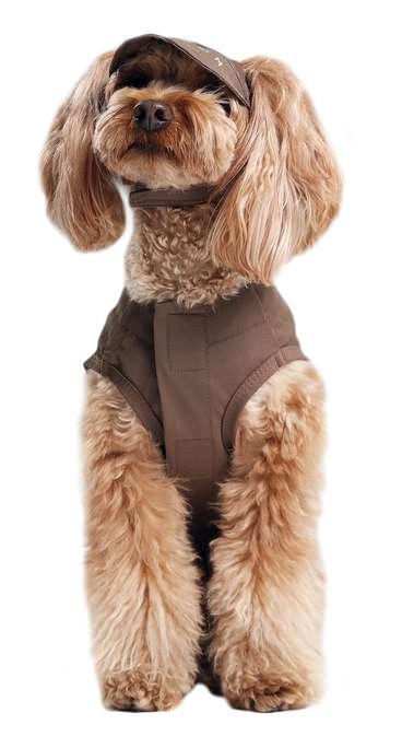 Chill Vest Shirt