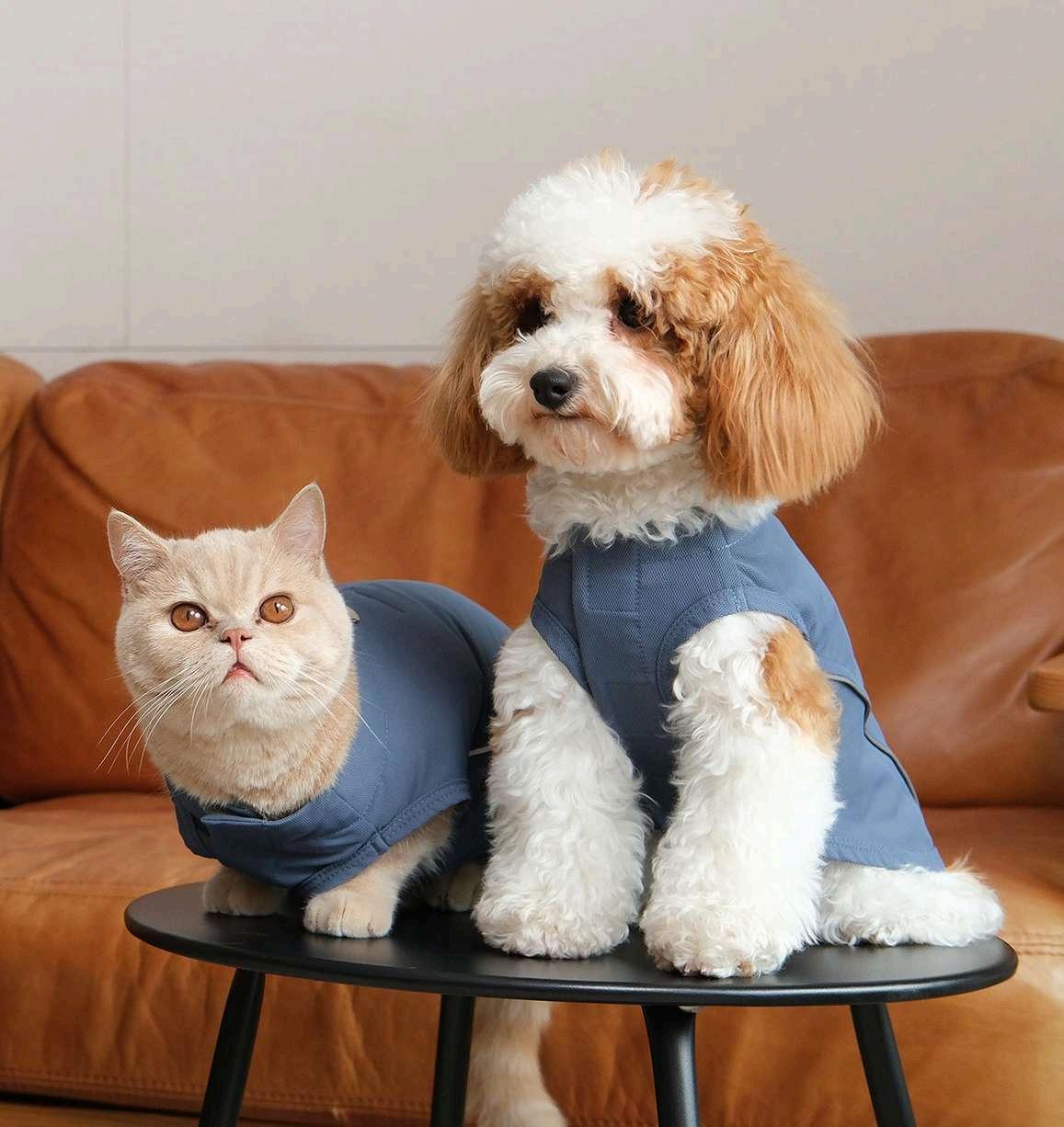 Chill Vest Shirt