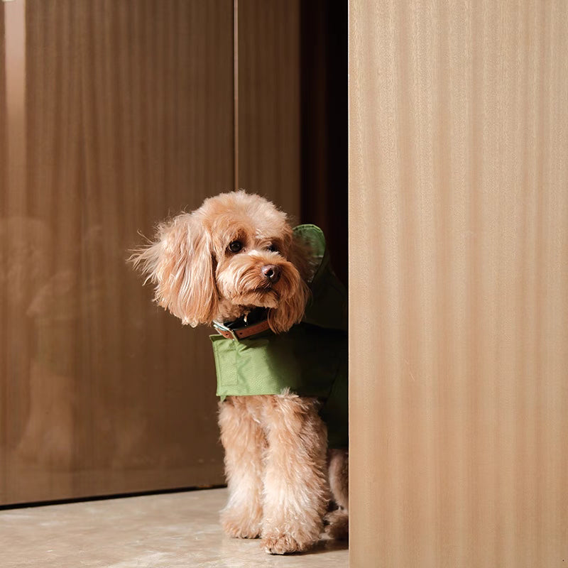 Pehom Pet Rain Cape