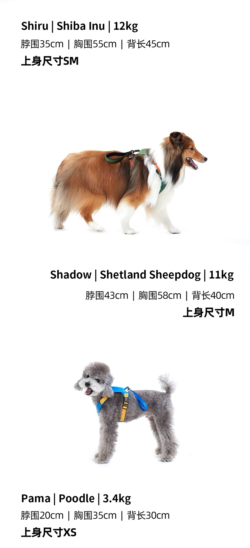 TAILHIGH Imported from Korea — All-in-One No-Pull Harness and Leash Set for Small, Medium, and Large Dogs and Cats