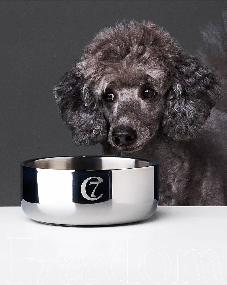 Stainless Steel Bowl – Cloud7 German Imported Pet Feeding Bowl for Cats and Small to Medium Dogs, Anti-Slip Food and Water Dish