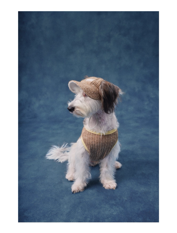 Color-Block Henley Knit Top – Lazyeazy Comfortable and Soft Sweatshirt Base Layer for Small and Medium Dogs and Cats