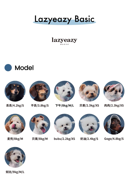 Color-Block Henley Knit Top – Lazyeazy Comfortable and Soft Sweatshirt Base Layer for Small and Medium Dogs and Cats