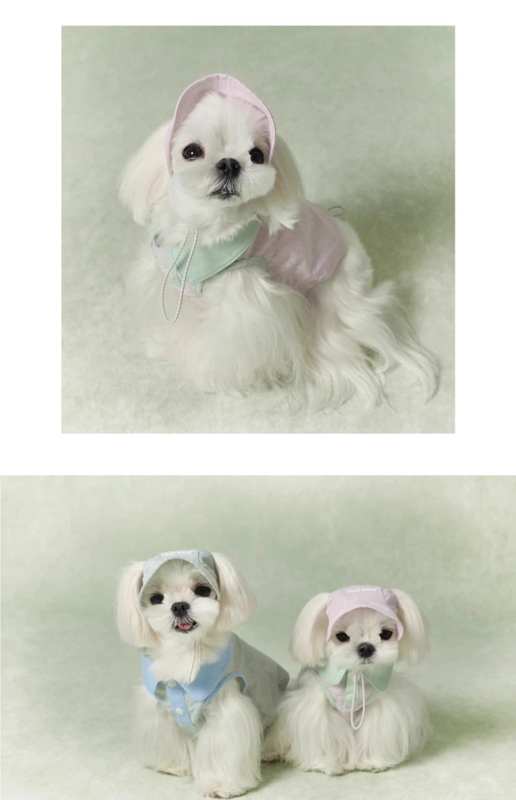 Lazyeazy Colorblock Pet Polo | Summer Lightweight Vest