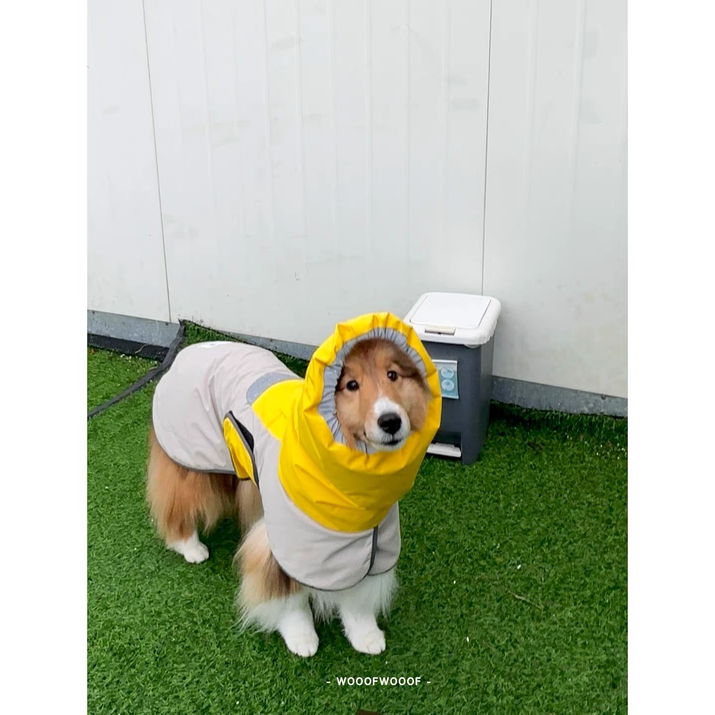 Go2 Raincoat — Tailhigh Korean Pet Outdoor Waterproof Lightweight Jacket for Small, Medium, and Large Dogs & Cats