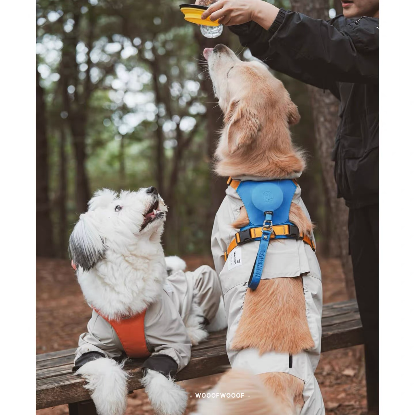 TAILHIGH Imported from Korea — All-in-One No-Pull Harness and Leash Set for Small, Medium, and Large Dogs and Cats