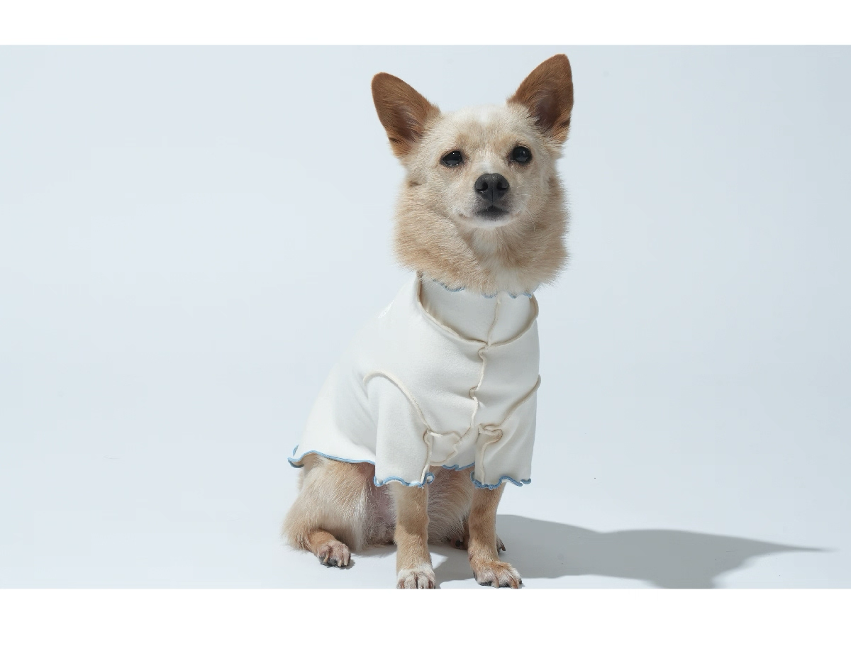 Ruffle Base Layer Top — Puppy Gallery Korean Pet Shirt for Small, Medium, and Large Dogs & Cats, Soft and Comfortable Inner Wear