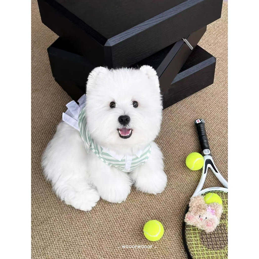 Lazyeazy x Fluffy Friends Club Collab Pet Waste Bag Holder – Cute Plush Pouch