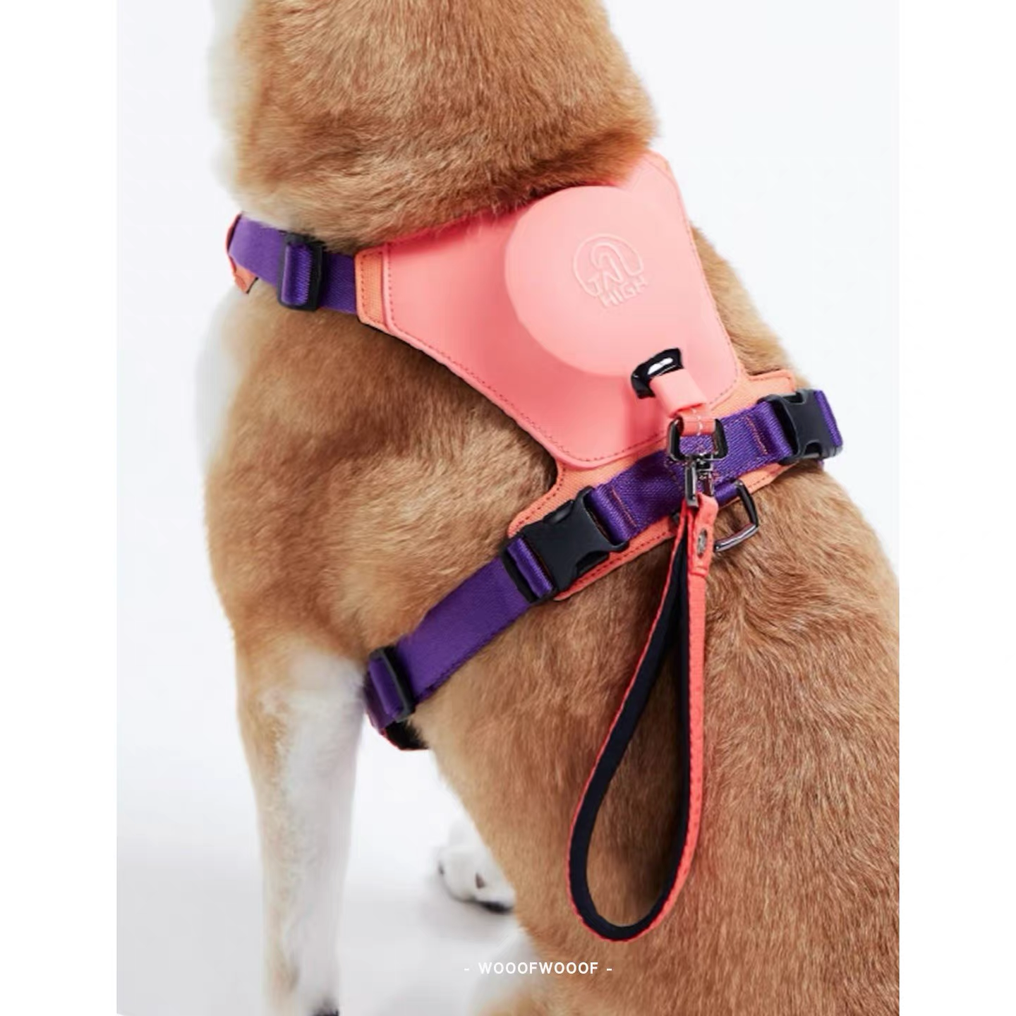 TAILHIGH Imported from Korea — All-in-One No-Pull Harness and Leash Set for Small, Medium, and Large Dogs and Cats