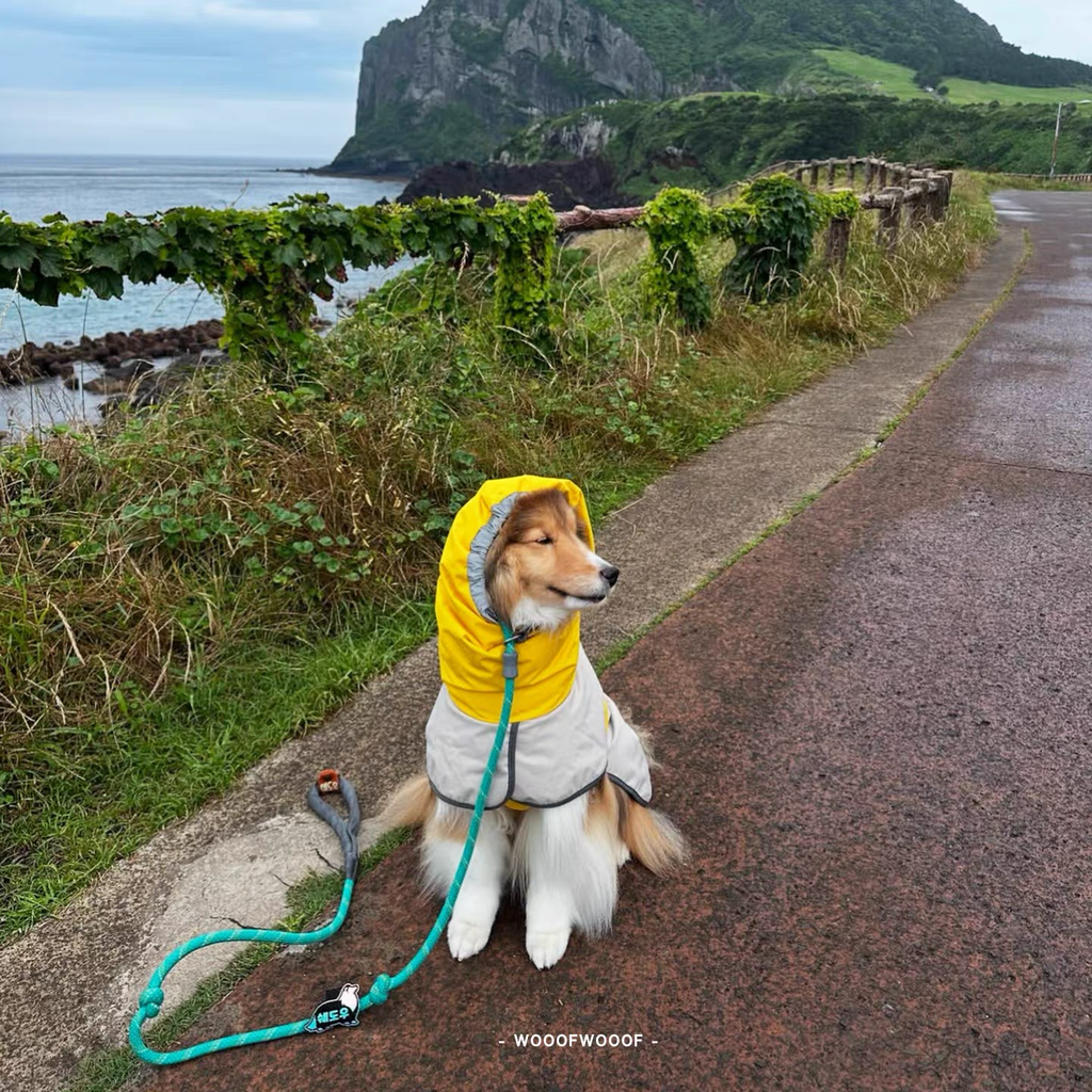Go2 Raincoat — Tailhigh Korean Pet Outdoor Waterproof Lightweight Jacket for Small, Medium, and Large Dogs & Cats
