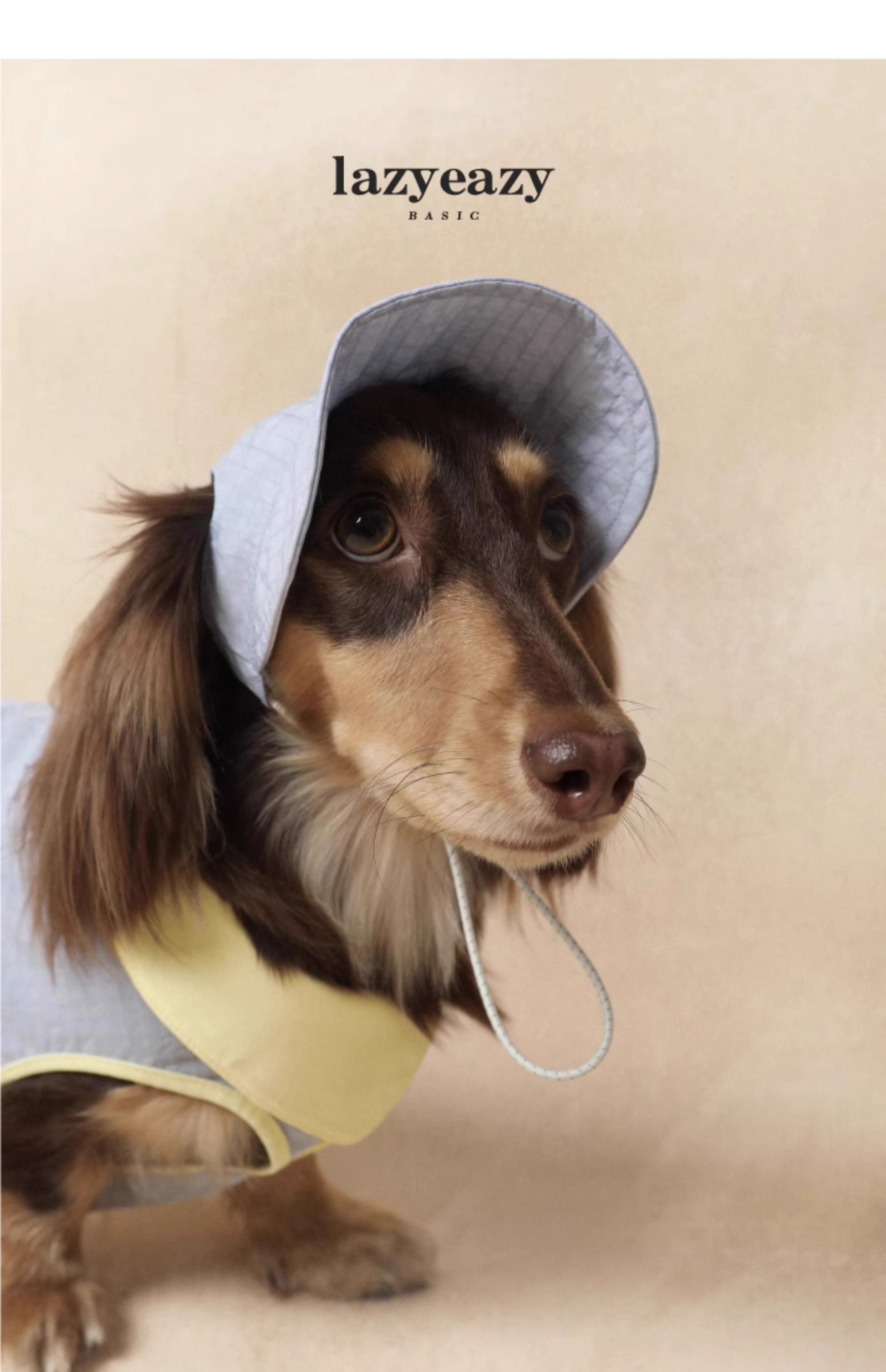 Lazyeazy Colorblock Pet Polo | Summer Lightweight Vest
