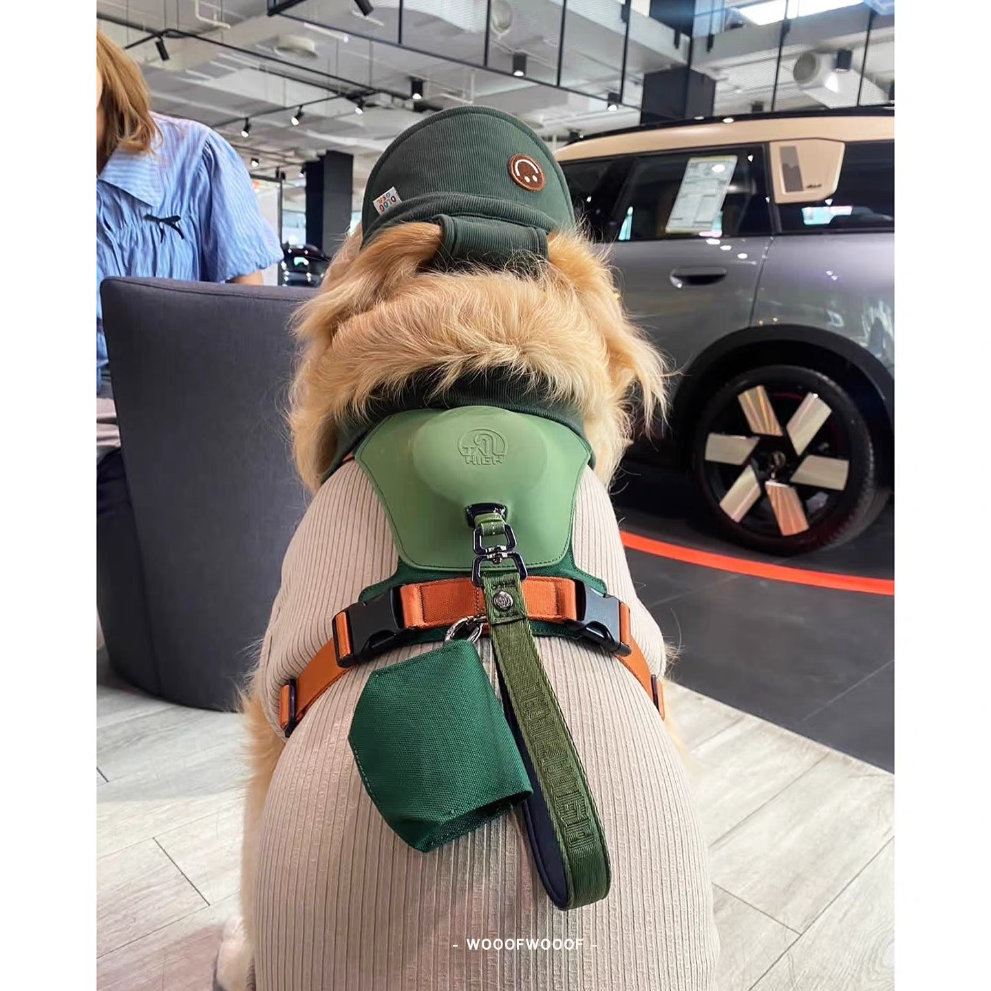 TAILHIGH Imported from Korea — All-in-One No-Pull Harness and Leash Set for Small, Medium, and Large Dogs and Cats