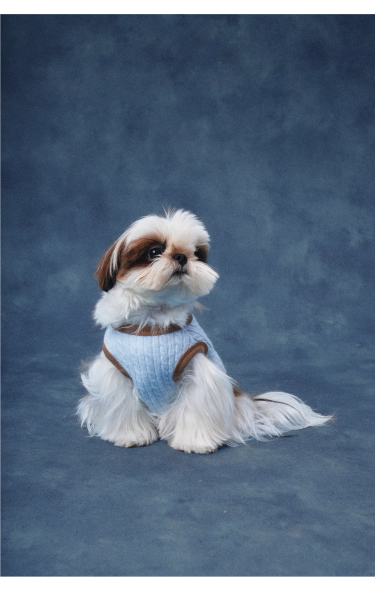 Color-Block Henley Knit Top – Lazyeazy Comfortable and Soft Sweatshirt Base Layer for Small and Medium Dogs and Cats