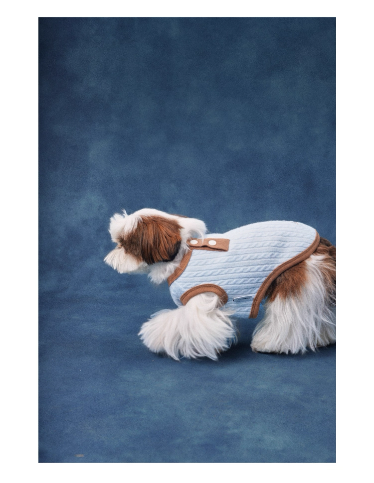 Color-Block Henley Knit Top – Lazyeazy Comfortable and Soft Sweatshirt Base Layer for Small and Medium Dogs and Cats