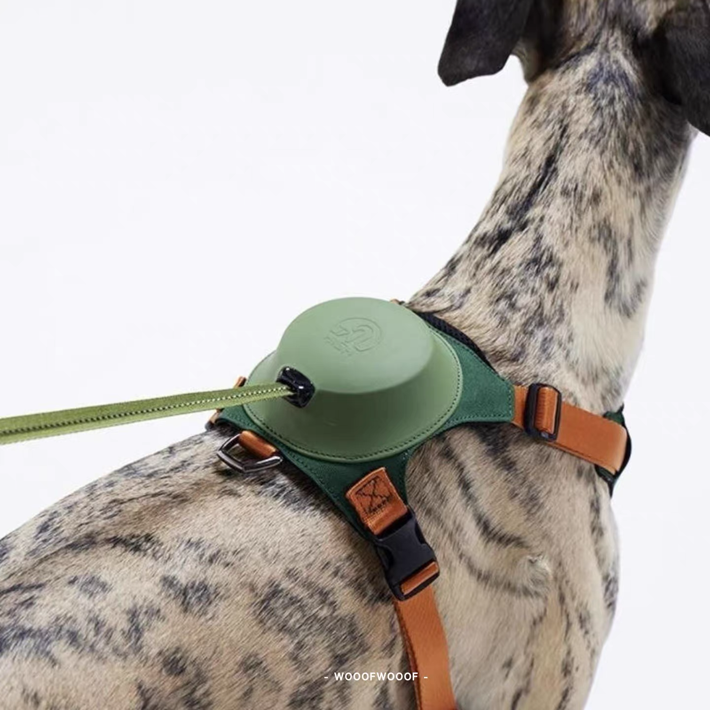 TAILHIGH Imported from Korea — All-in-One No-Pull Harness and Leash Set for Small, Medium, and Large Dogs and Cats