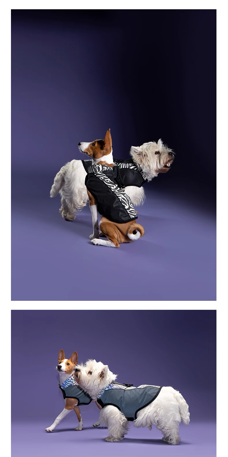 Phantom Night Harness – PEBOT Magnetic Buckle Reflective Pet Harness for Small and Medium Dogs and Cats, Ideal for Night Walks