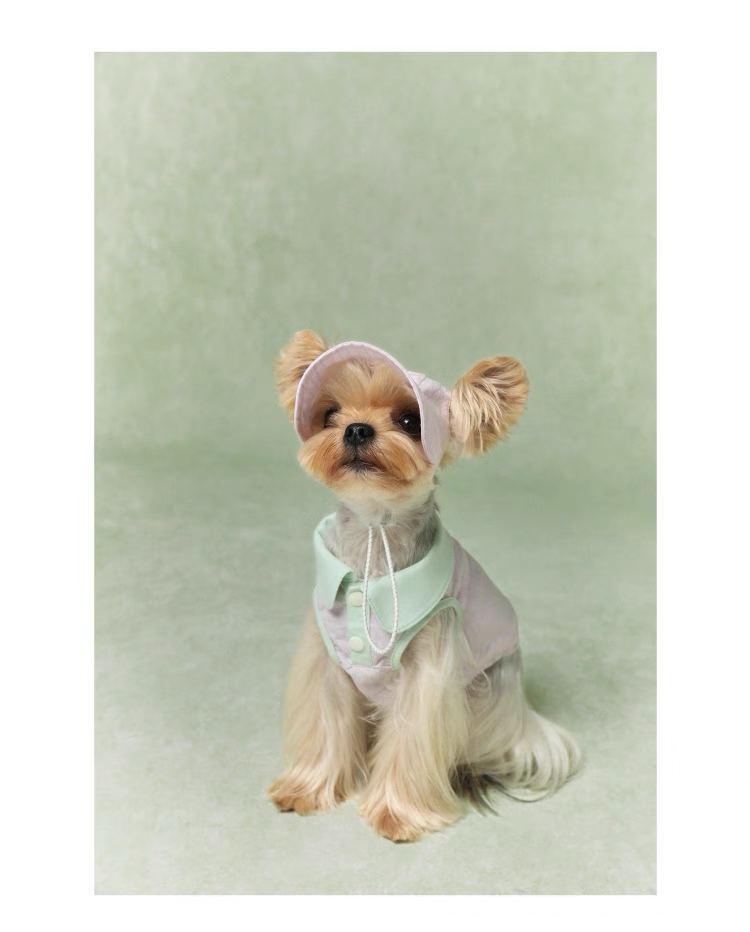 Lazyeazy Colorblock Pet Polo | Summer Lightweight Vest