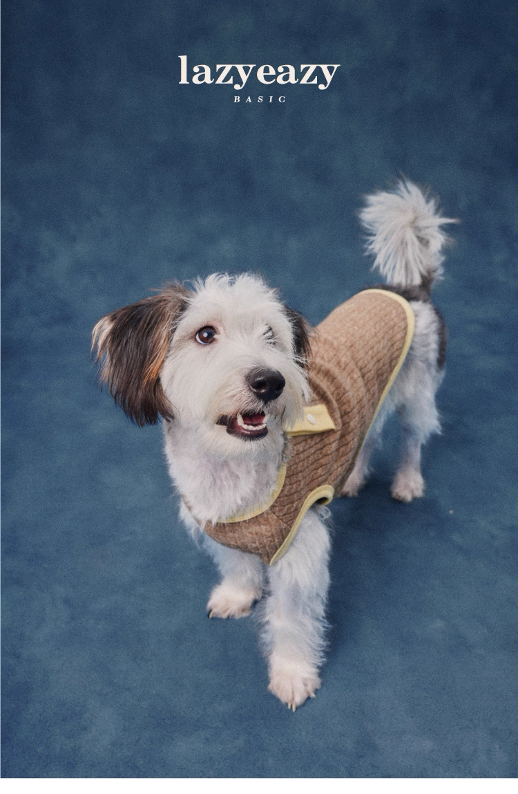 Color-Block Henley Knit Top – Lazyeazy Comfortable and Soft Sweatshirt Base Layer for Small and Medium Dogs and Cats
