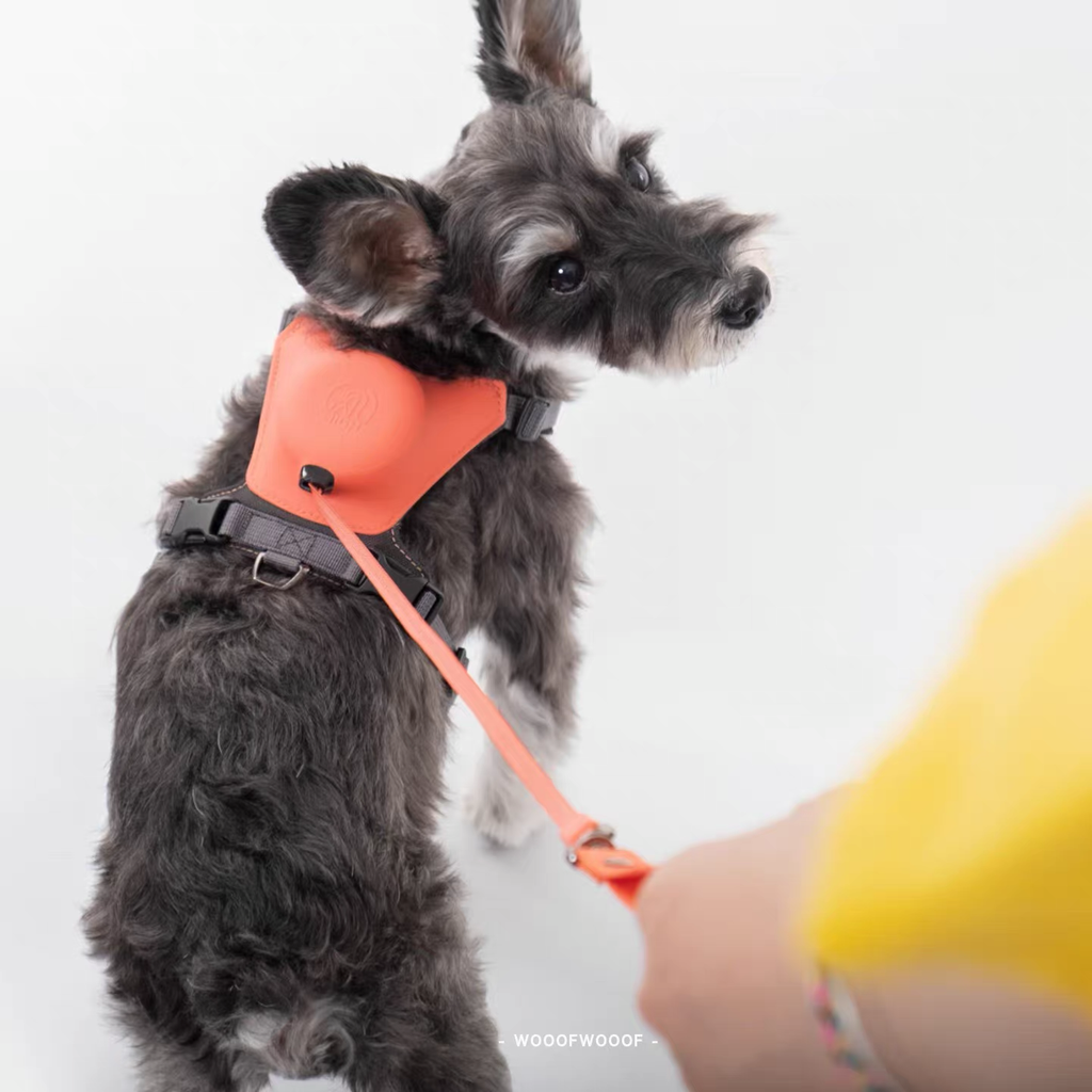 TAILHIGH Imported from Korea — All-in-One No-Pull Harness and Leash Set for Small, Medium, and Large Dogs and Cats