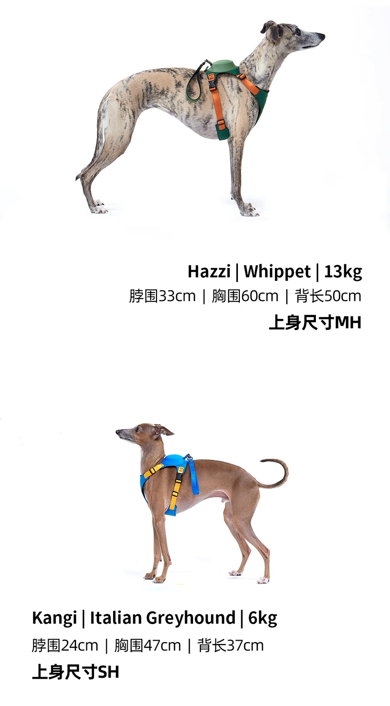TAILHIGH Imported from Korea — All-in-One No-Pull Harness and Leash Set for Small, Medium, and Large Dogs and Cats